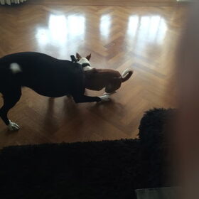 Playtime