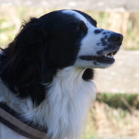 1e paasdag 2015