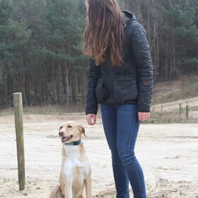 Hondenfoto van Vera met Abby & Cantor !