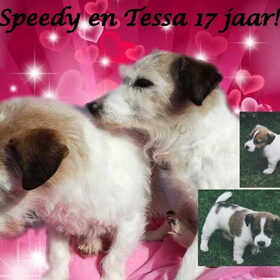 Speedy en Tessa 17 jaar!