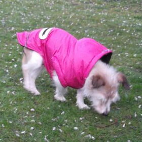 Speedy in haar jasje