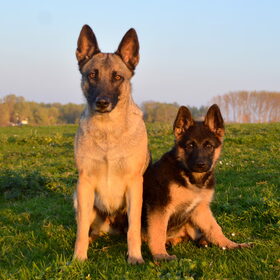 Tessa&Arrow