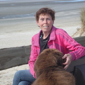Hondenfoto van Willemijn - baasje van Vika .           Bams  en Ogin   ¥ .