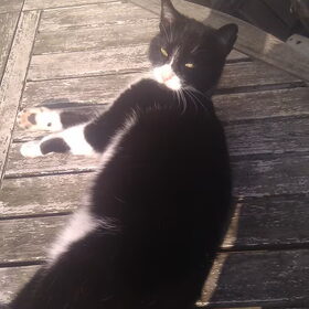 Hondenfoto van Michelle, baasje van Scotty en kater Charlie †
