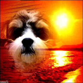 sparky. made by iris!!