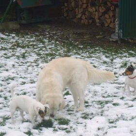 butch en spike in de sneeuw