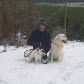 butch,rocky,spike aan het wandelen met baasje in de ardenne…