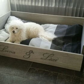 Hondenfoto van ~ Luna & Lèxi ~