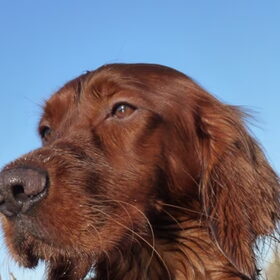 Hee, dit is zomer, Summertime Lady!