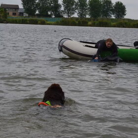 Hondenfoto van Jeanine :)