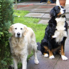 samen twee vriendinnen