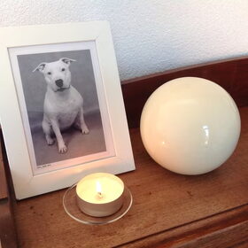 ik hou van je, lief lief hondje... mijn allerliefste hondje. Ik…