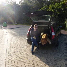 Hondenfoto van L&R