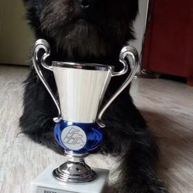 Hondenfoto van Ciska en Spanjaardje Moh (Bambi r.i.p.)