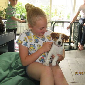 Hondenfoto van Anja en Naika, Shiva en Flynn