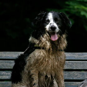 Bruno nam een duikje in de vieste sloot van heel Amsterdamse Bos…
