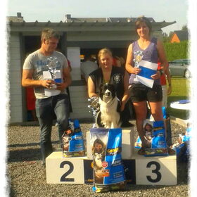 Hondenfoto van Shauni  *Sky~Jinx~Sansa~Hypno*