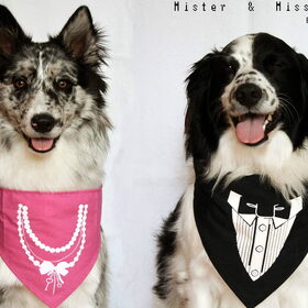 Hondenfoto van Angelique; Bruno, Charlie & Fenna  