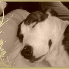 is die niet schattig? :-)