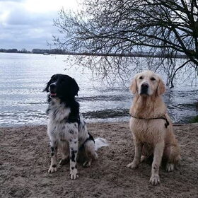 Hondenfoto van Michelle & Bentley