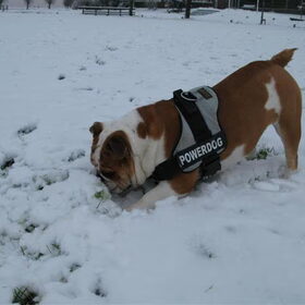 oow leuk die sneeuw