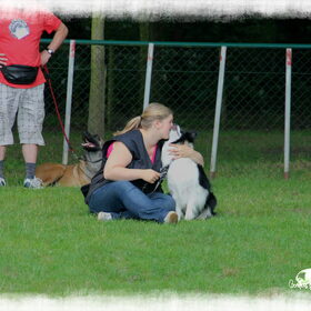 Hondenfoto van Shauni  *Sky~Jinx~Sansa~Hypno*
