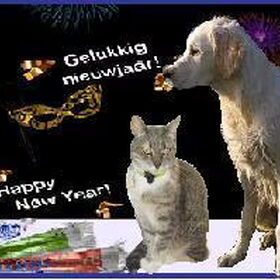 Suzanne, Tara, Vicky & Gizmo wensen iedereen een sensationeel…