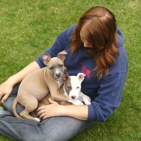 gezellig met 2 op de schoot:)