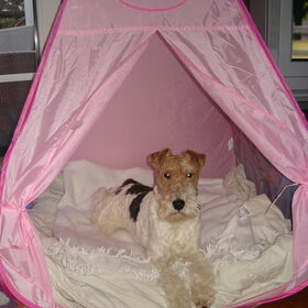 Eindelijk de tent voor mij alleen!!