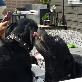 Jij bent en blijft mijn beste vriend! Luca & Blacky