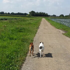 Hondenfoto van Sanne & Denise, Fanny, Vita