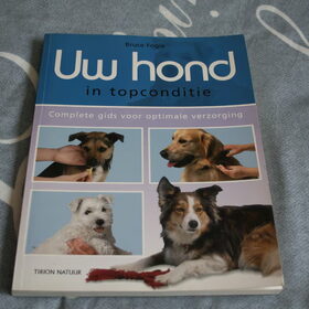 Hondenfoto van Angelique; Bruno, Charlie & Fenna  
