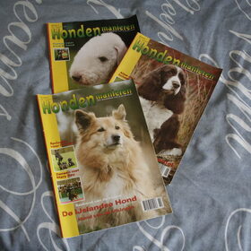 Hondenfoto van Angelique; Bruno, Charlie & Fenna  
