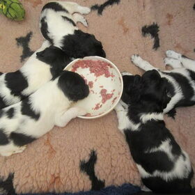 Allemaal in slaap gevallen rondom het eten, het is ook heeeel…
