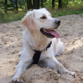 Op vakantie (07-08-09)