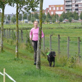 Hondenfoto van Eef en Tjibbe