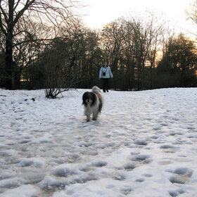 Ik en Wobble