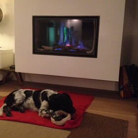 Hondenfoto van Doortje & Tibbe