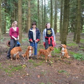 Hondenfoto van Sigrid, Sandy, Diva & Nala