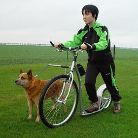 Walky Dog