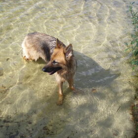 Even pootje baden.