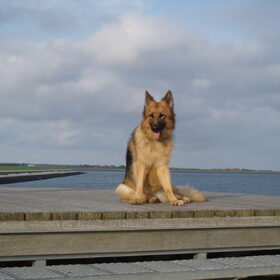 Genieten van het uitzicht op de waddenzee, Terschelling.
