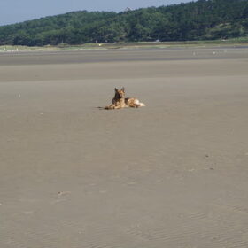 Het strand helemaal voor mij alleen.