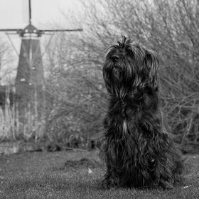 Luna in de winter