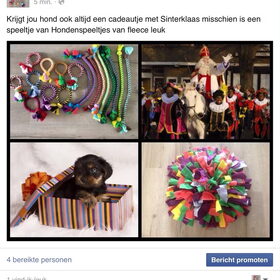 Hondenfoto van Sigrid, Sandy, Diva & Nala