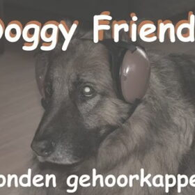 Hondenfoto van Hondenhumor Sasja de Eerste ITC-Hond die nu met pensioen is.