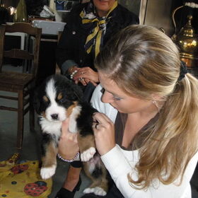 Hondenfoto van Constance R.I.P. Beau 