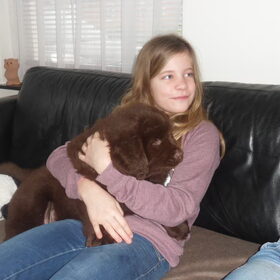 Hondenfoto van Willemijn - baasje van Vika .           Bams  en Ogin   ¥ .