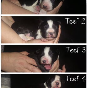 1 week oud!