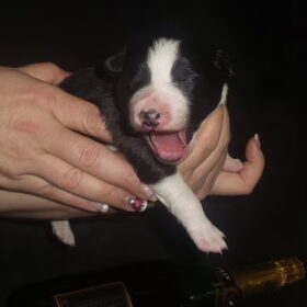 1 week oud :)